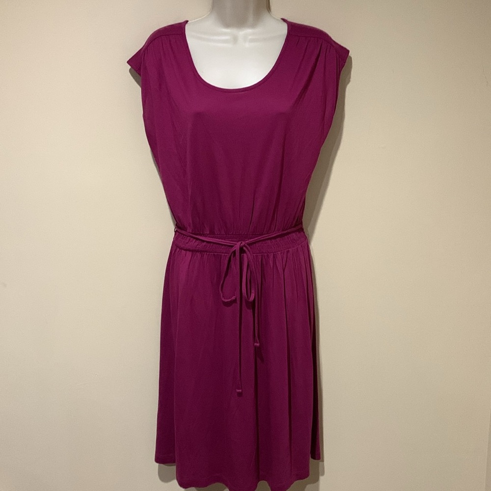 LOFT dress